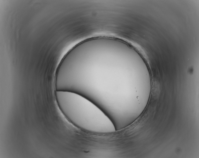 X0000090921295200707301046