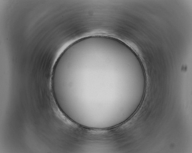 X0000090921296200707301046