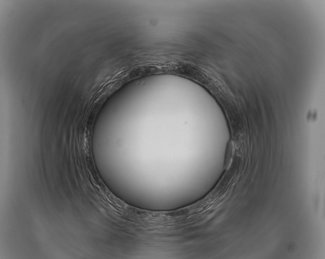 X0000090921298200707301045