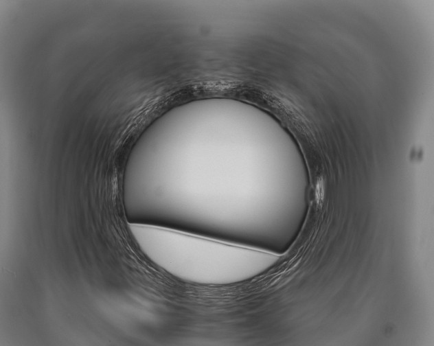 X0000090921299200707301045