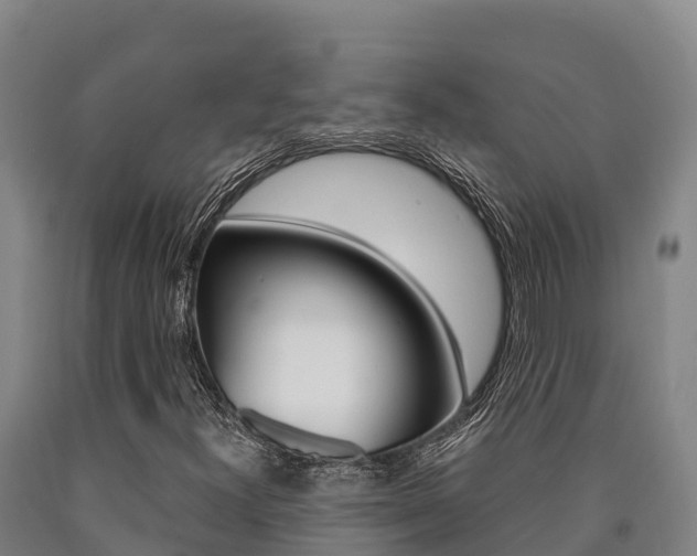 X0000090921300200707301045