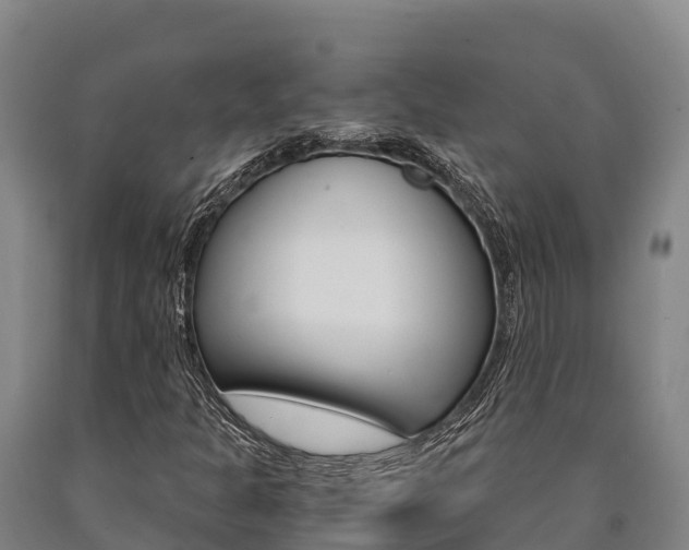X0000090921301200707301045