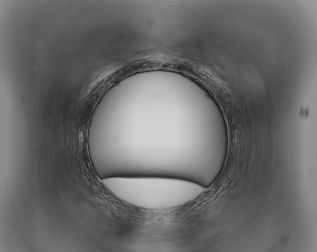 X0000090921302200707301045