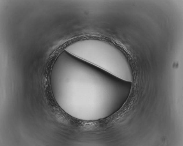X0000090921303200707301045