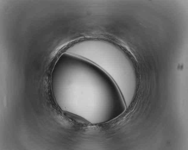 X0000090921304200707301045