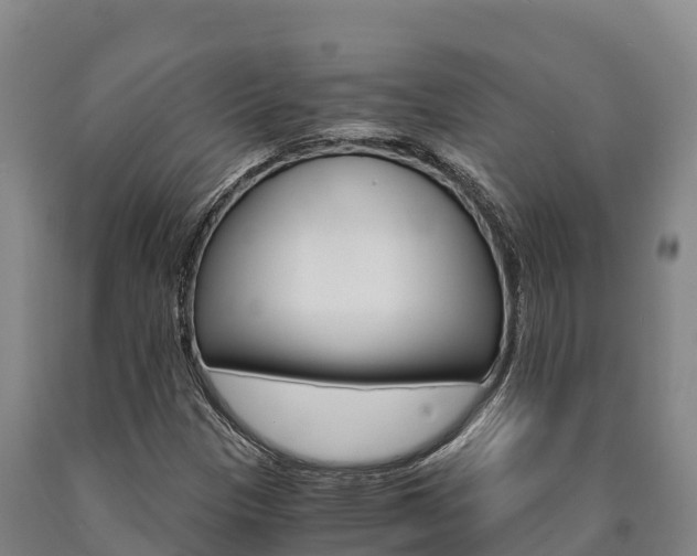 X0000090921305200707301045