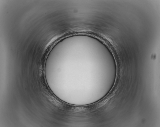 X0000090921306200707301045