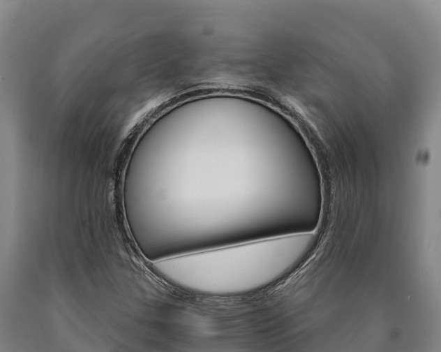 X0000090921307200707301045