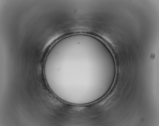 X0000090921309200707301045