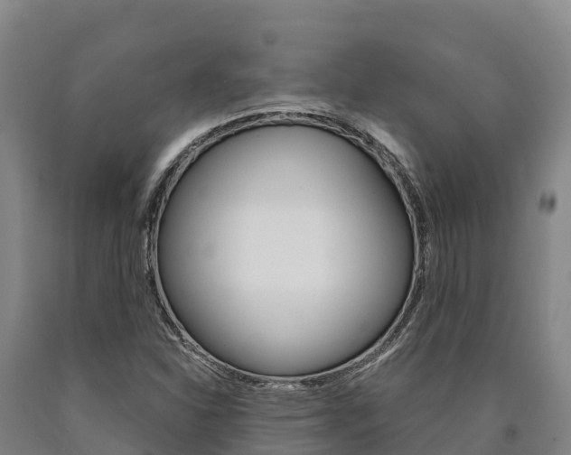 X0000090921310200707301045