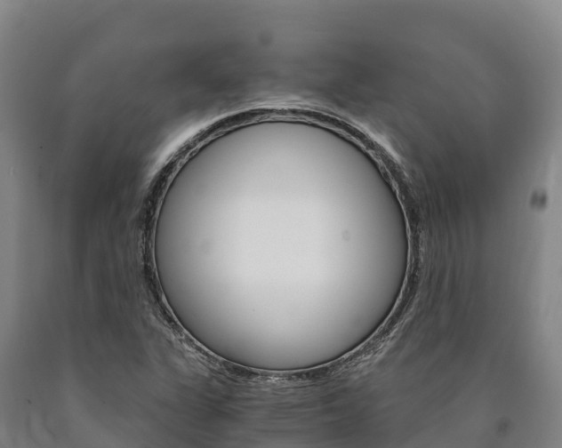 X0000090921311200707301045