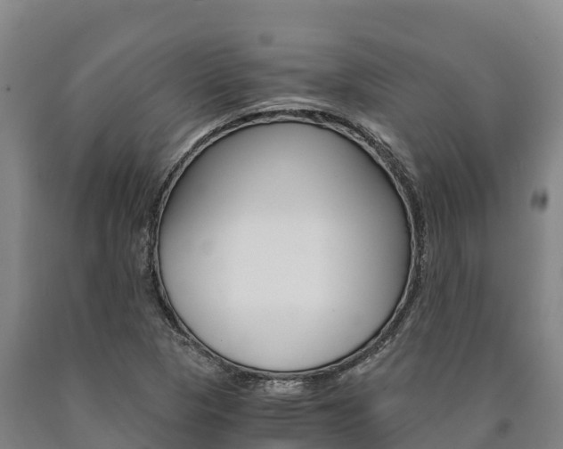 X0000090921313200707301045