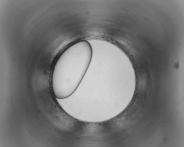 X0000090921314200707301045