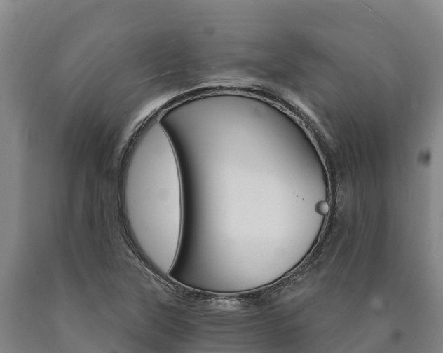 X0000090921315200707301045