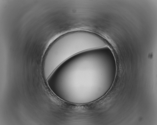 X0000090921316200707301045