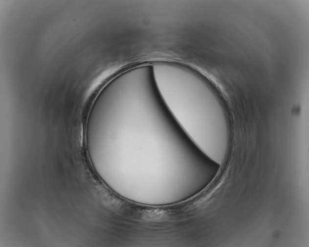 X0000090921317200707301045