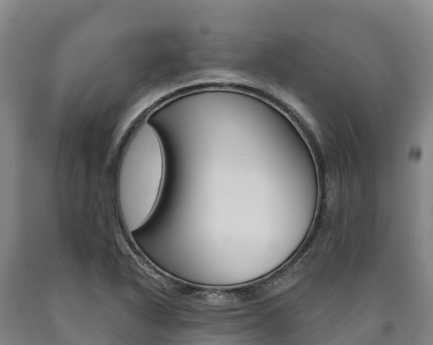 X0000090921318200707301045