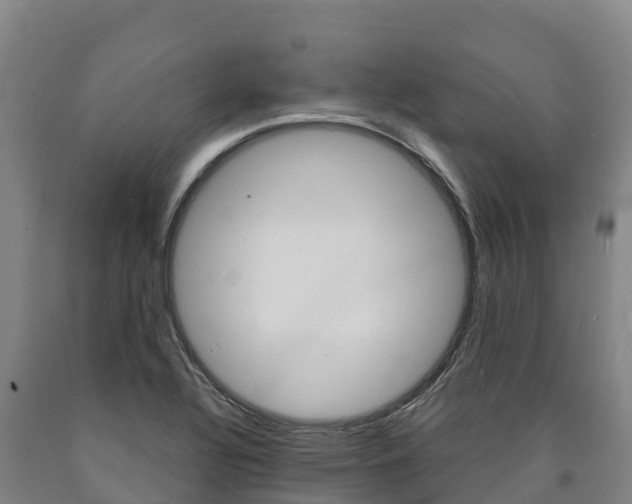 X0000090921320200707301045