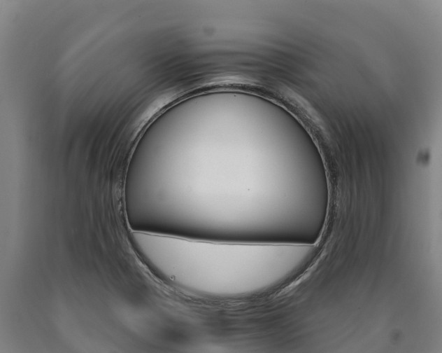 X0000090921321200707301045