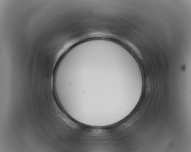 X0000090921322200707301045