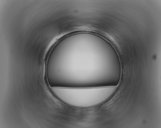 X0000090921323200707301045