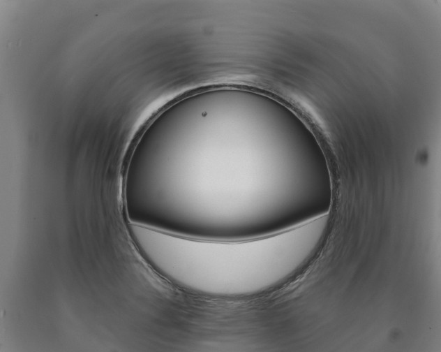 X0000090921324200707301045