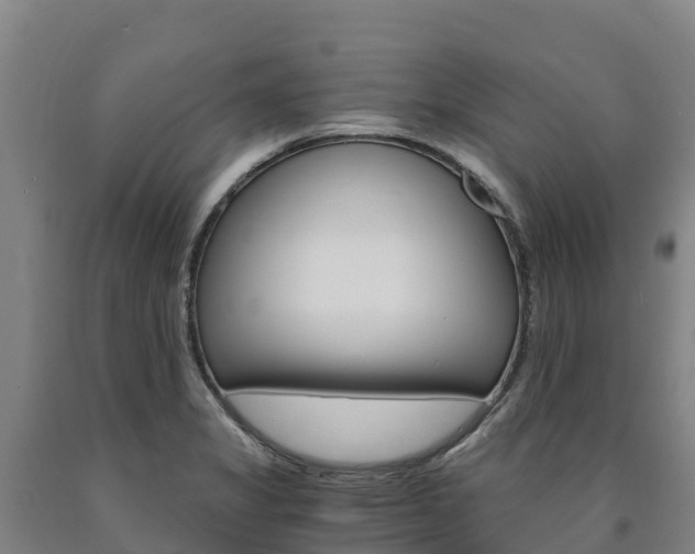 X0000090921325200707301045
