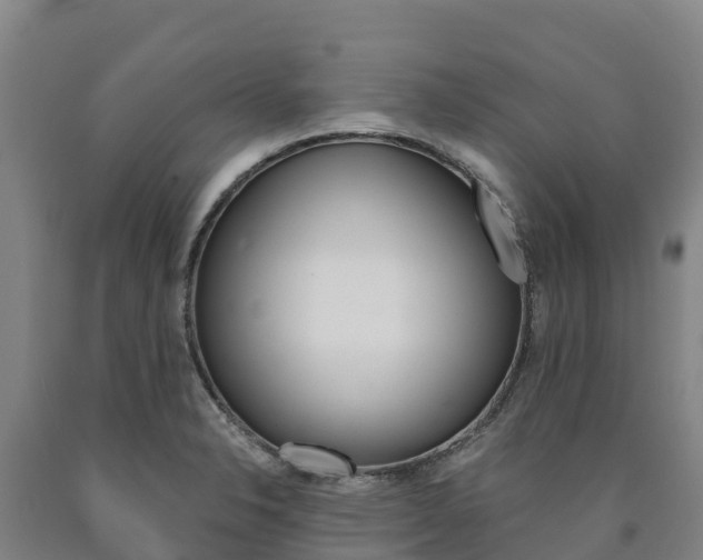 X0000090921326200707301045