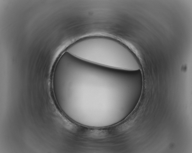 X0000090921327200707301045