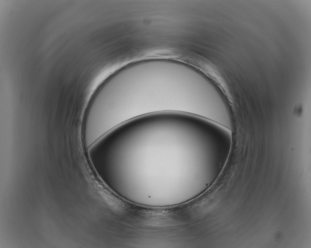 X0000090921328200707301045