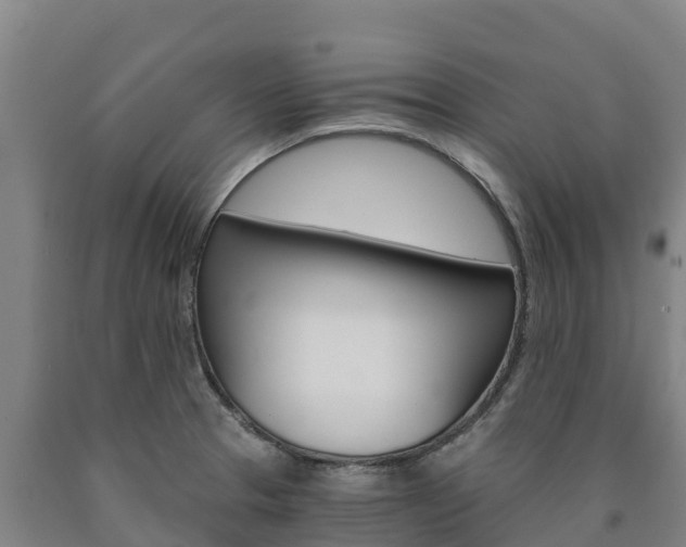 X0000090921329200707301045