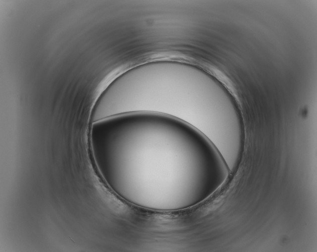 X0000090921330200707301045
