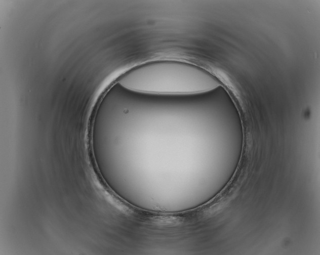 X0000090921331200707301046