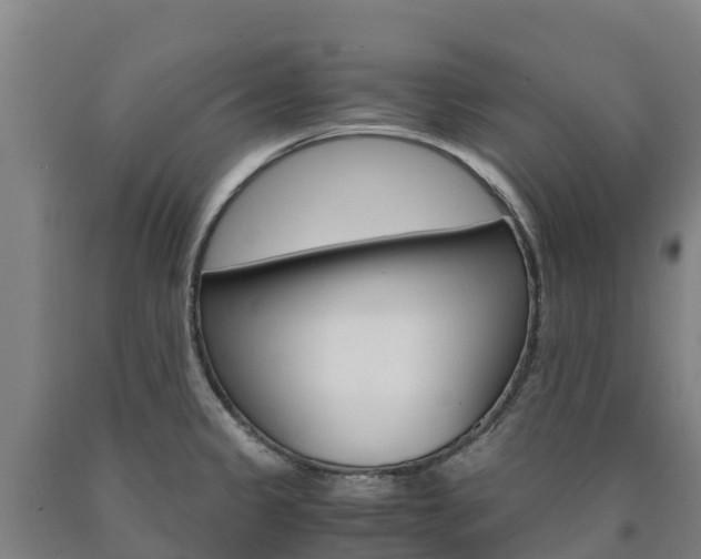 X0000090921333200707301046