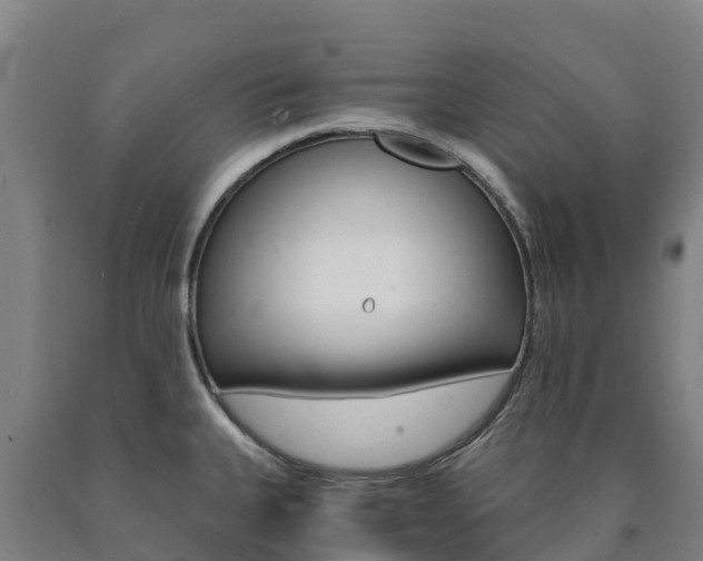 X0000090921335200707301046