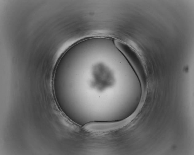 X0000090921336200707301046