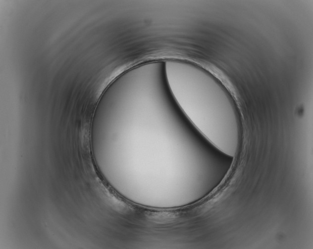 X0000090921337200707301046