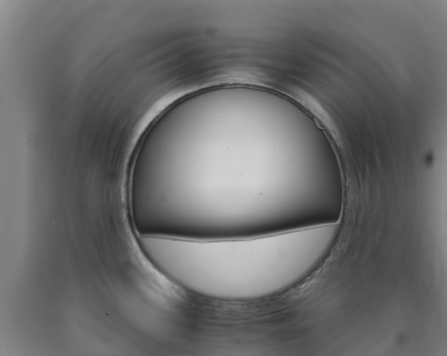 X0000090921339200707301046