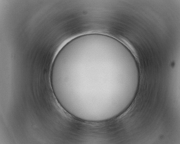 X0000090921340200707301046