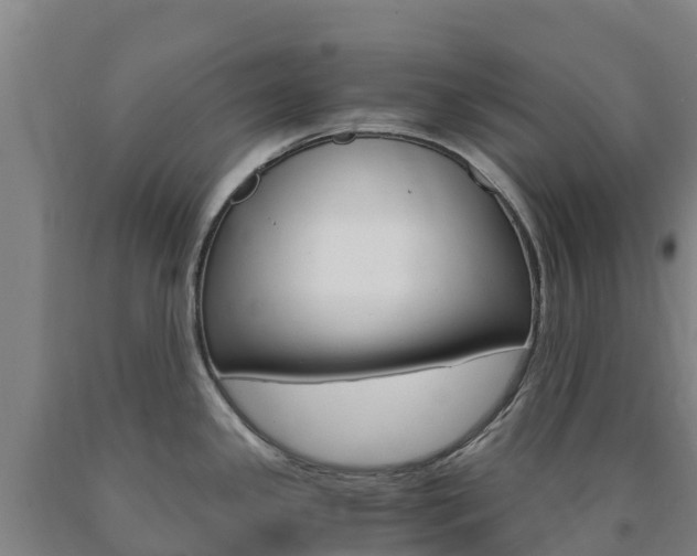 X0000090921341200707301046