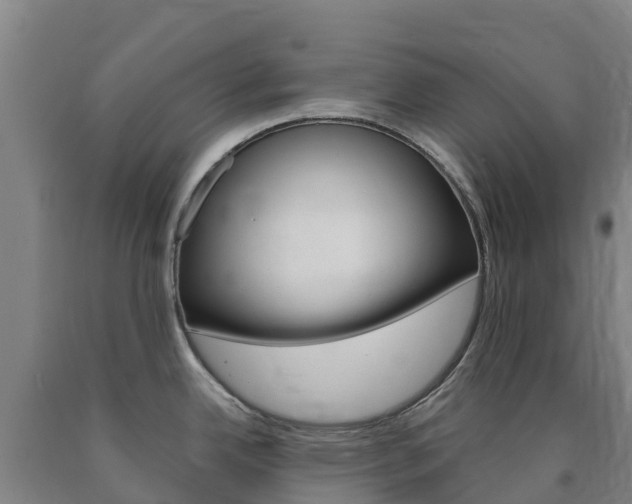 X0000090921342200707301046