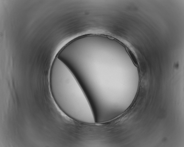 X0000090921343200707301046