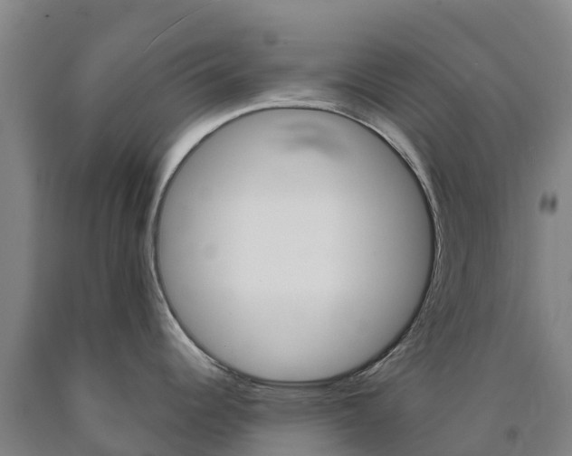 X0000090921344200707301046