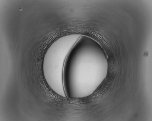 X0000090921345200707301045