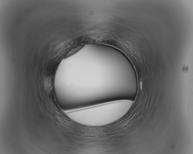 X0000090921347200707301045