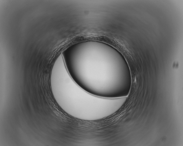 X0000090921348200707301045