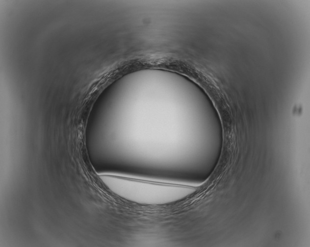 X0000090921349200707301045
