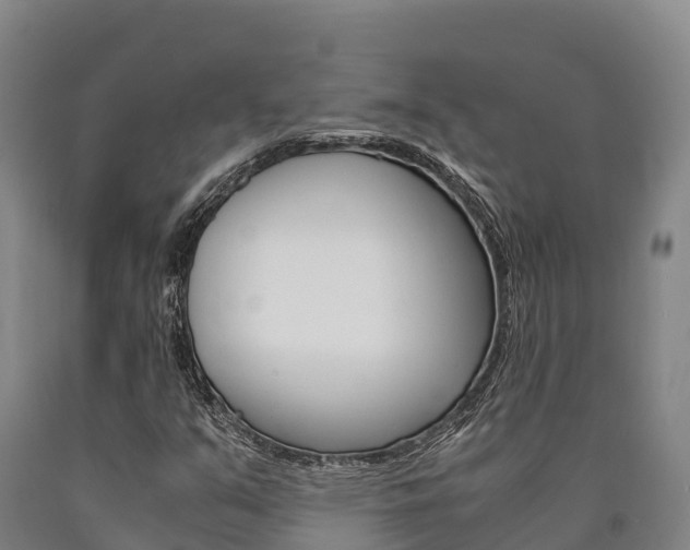 X0000090921351200707301045