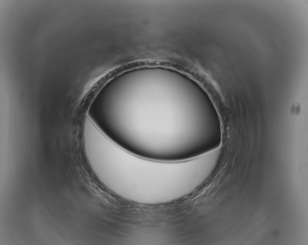 X0000090921352200707301045
