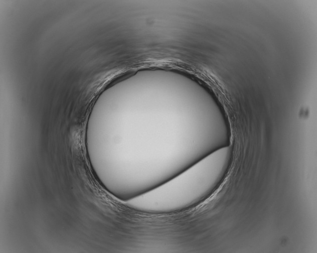 X0000090921353200707301045